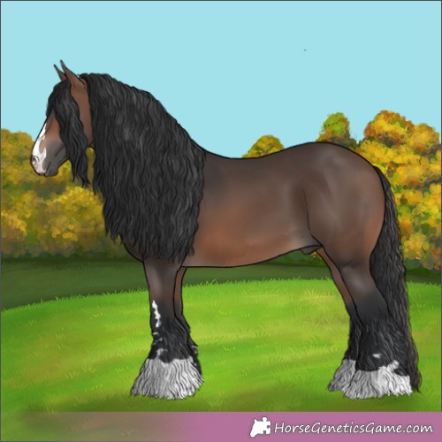 Horse Color:Brown Mushroom 