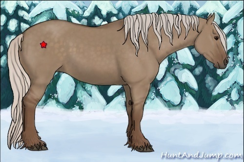 Horse Color:Unknown 
