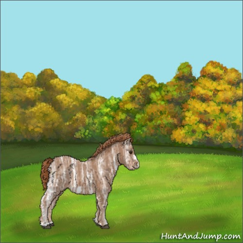 Horse Color:Unknown 