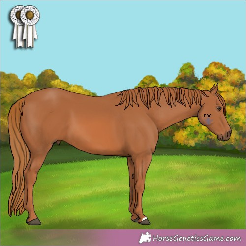 Horse Color:Unknown 