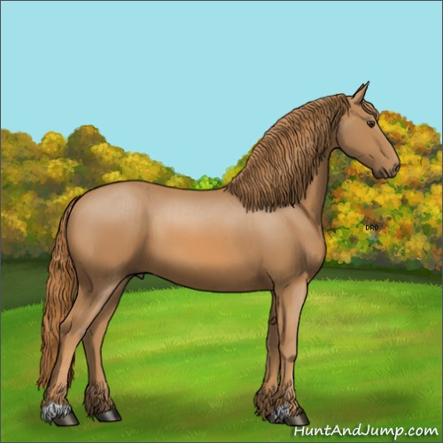 Horse Color:Unknown 