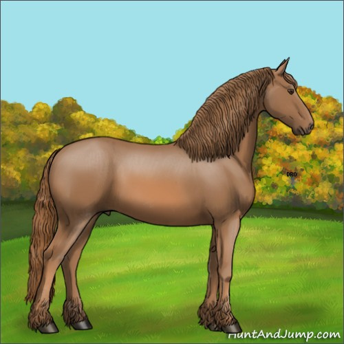 Horse Color:Unknown 