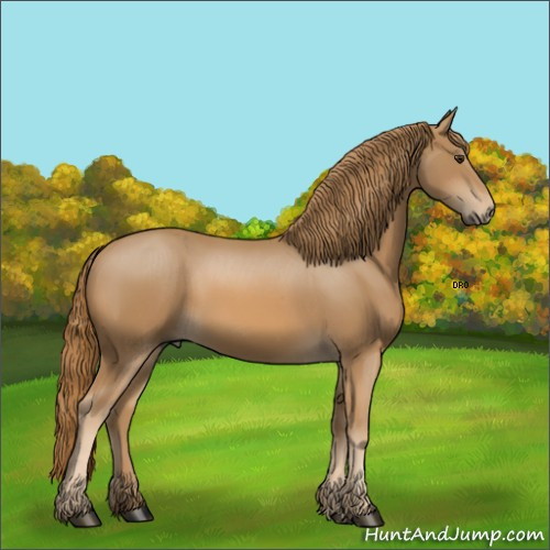 Horse Color:Unknown 