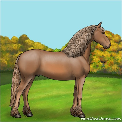 Horse Color:Unknown 