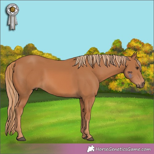 Horse Color:Unknown 
