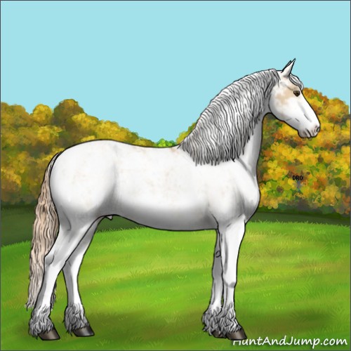 Horse Color:Red Dun Sabino 