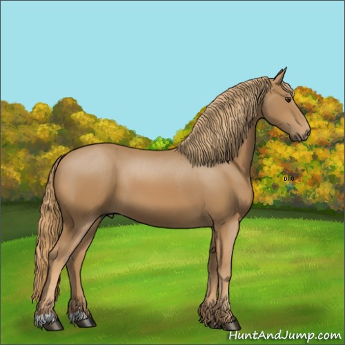 Horse Color:Unknown 