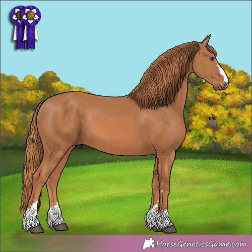 Horse Color: Chestnut 