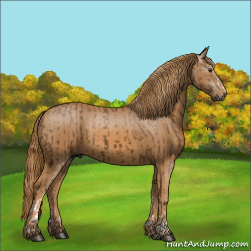 Horse Color:Gray Chestnut Splash Tobiano 