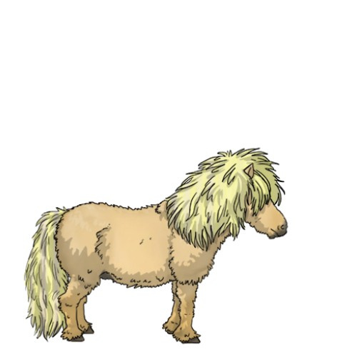 Horse Color:Gray Painted Palomino Dun Mushroom 