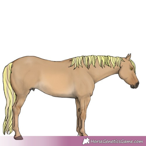 Horse Color:Gray Painted Palomino Dun Mushroom 