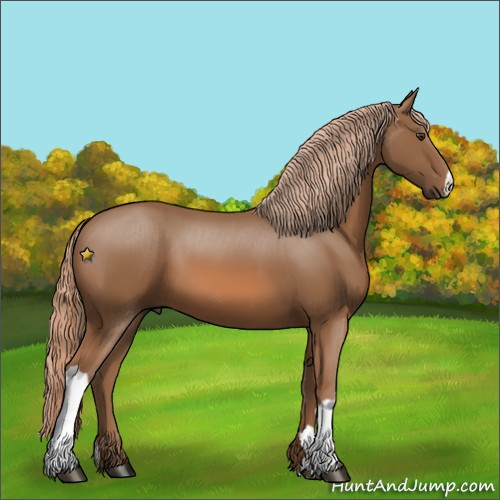 Horse Color:Unknown 