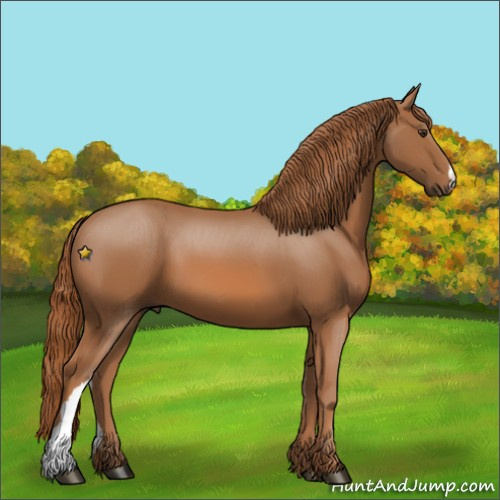 Horse Color:Unknown 