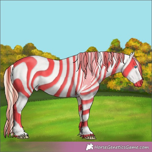 Horse Color:Perlino 
