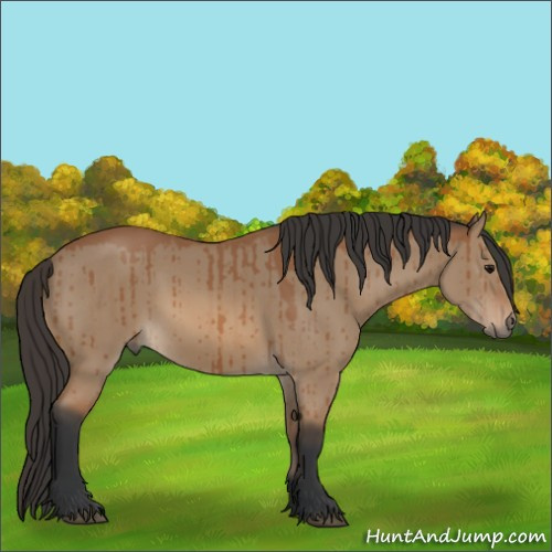 Horse Color: Bay Dun Brindle 