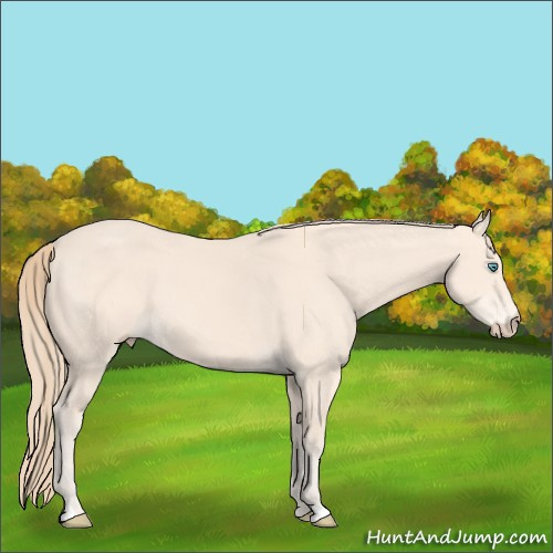 Horse Color: Perlino 