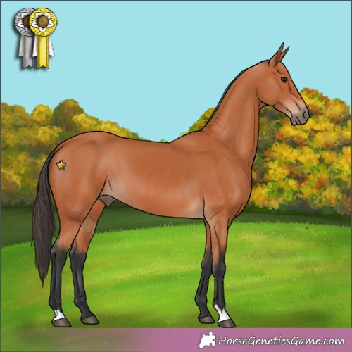 Horse Color:Unknown 