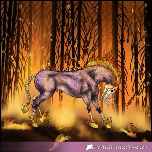 Horse Color:Unknown 