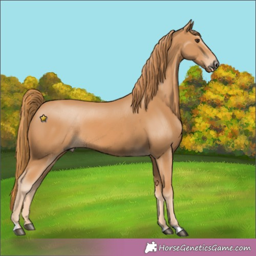 Horse Color:Unknown 