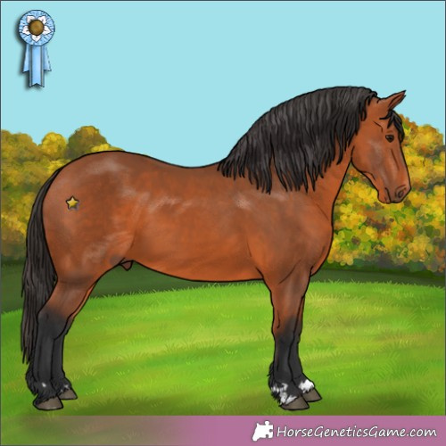 Horse Color:Unknown 