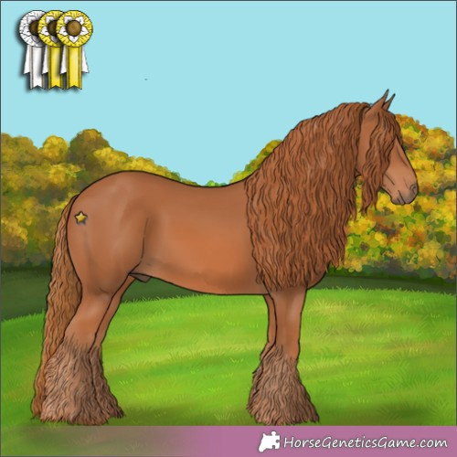 Horse Color: Unknown 