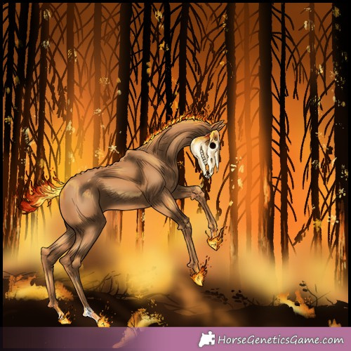 Horse Color:Unknown 