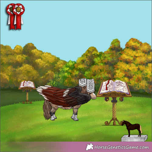 Horse Color:Unknown 
