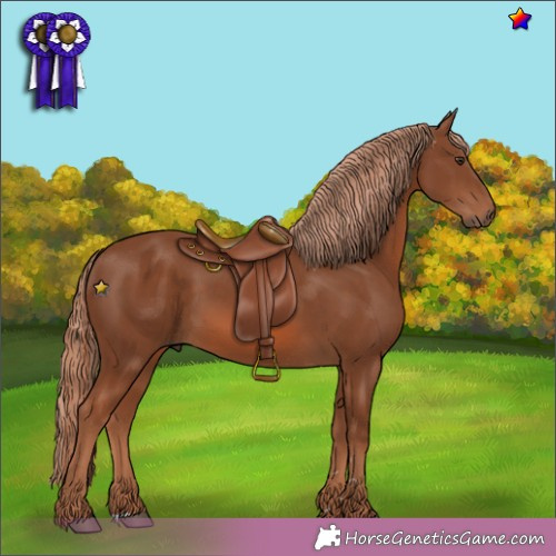 Horse Color: Unknown 