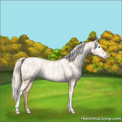 Horse Color:Silver Amber Champagne Pearl Dun Tobiano Near Leopard Rabicano  and Silver Amber Champagne Pearl Dun Tobiano Near Leopard Rabicano 
