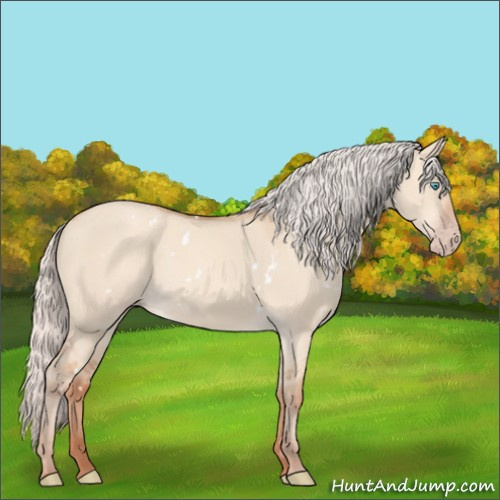 Horse Color:White Spotted Silver Classic Champagne Pearl Dun Rabicano 
