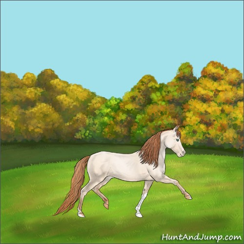 Horse Color:Classic Champagne Pearl Dun Sabino Tobiano 