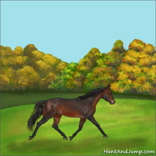 Horse Color:Brown 