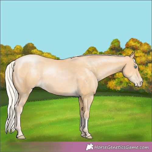 Horse Color: Silver Buckskin Pearl 