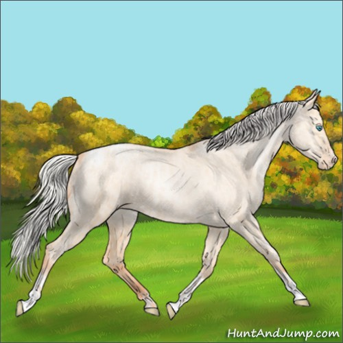 Horse Color:Silver Amber Champagne Pearl Dun Tobiano Blanket Rabicano  and Silver Amber Champagne Pearl Dun Tobiano Frame Blanket Rabicano 