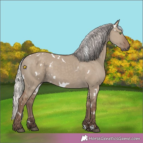 Horse Color:White Spotted Silver Grullo Rabicano 