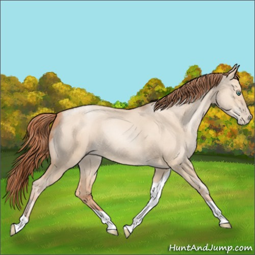 Horse Color:Classic Champagne Pearl Dun Sabino Tobiano 