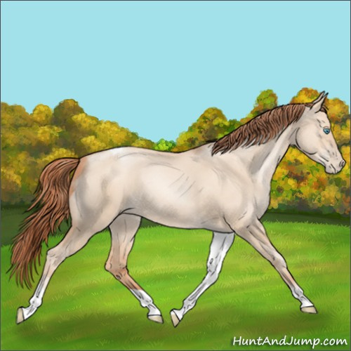 Horse Color:Sable Champagne Pearl Dun Sabino Tobiano 