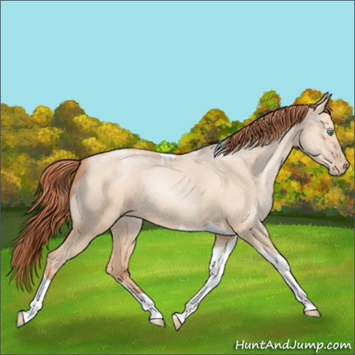 Horse Color:Classic Champagne Pearl Dun Sabino Tobiano 