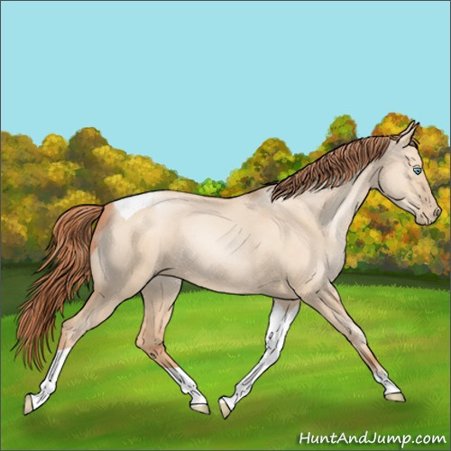 Horse Color:Sable Champagne Pearl Dun Sabino Tobiano 