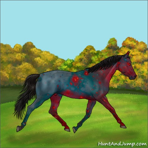 Horse Color: ERROR: UNKNOWN ANOMALY