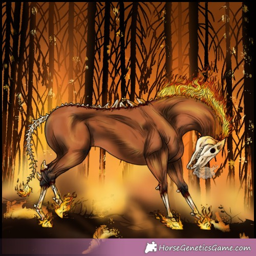 Horse Color: Unknown 