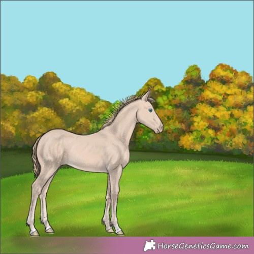 Horse Color:Perlino 