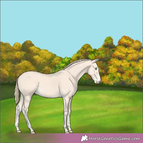Horse Color:Perlino 