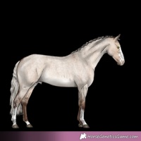 Horse Color:Silver Brown Roan Dun Sabino 