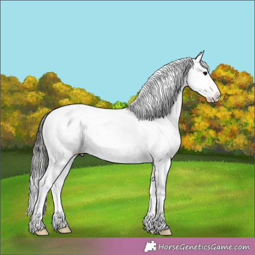 Horse Color: Buckskin Snowcap 