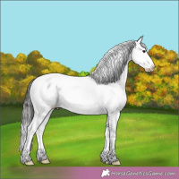Horse Color:Buckskin Snowcap 