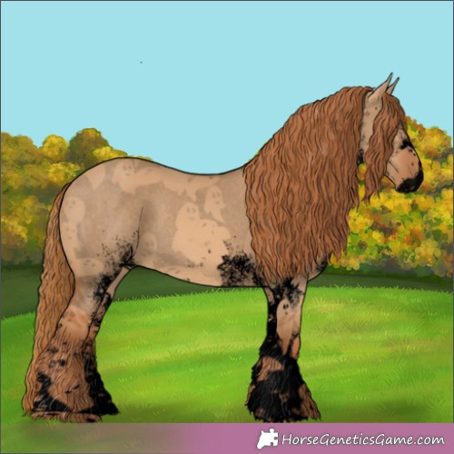 Horse Color: Unknown 