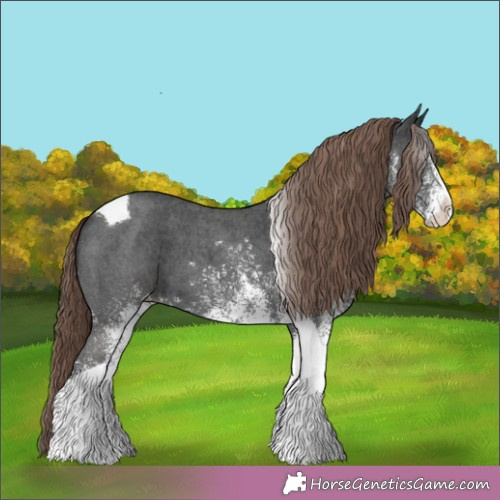 Horse Color: Unknown 