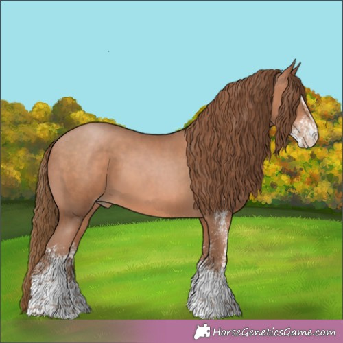 Horse Color: Unknown 