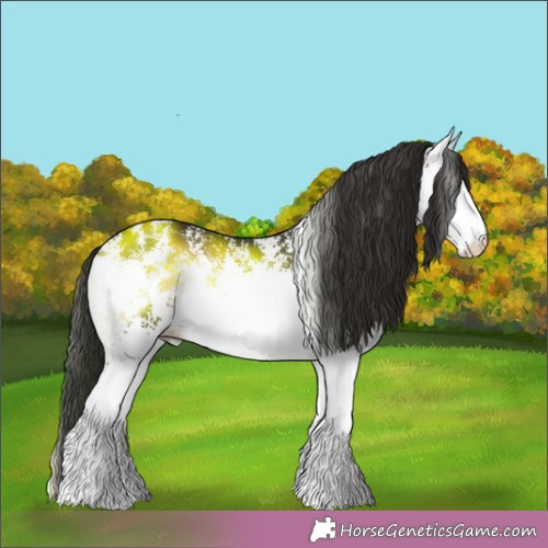 Horse Color: Unknown 